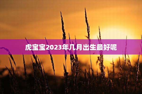 虎宝宝2023年几月出生最好呢