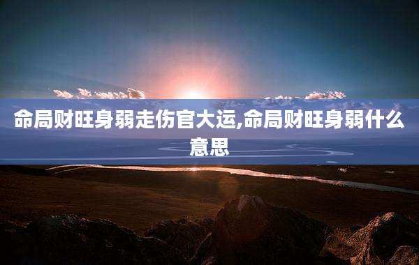 命局财旺身弱走伤官大运,命局财旺身弱什么意思