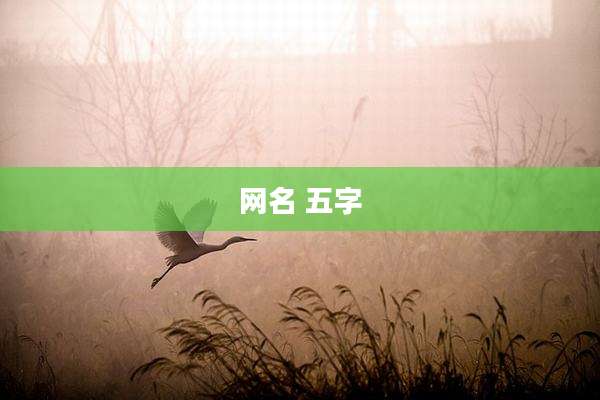 网名 五字