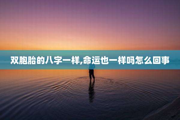 双胞胎的八字一样,命运也一样吗怎么回事