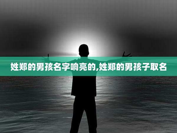 姓郑的男孩名字响亮的,姓郑的男孩子取名