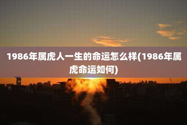 1986年属虎人一生的命运怎么样(1986年属虎命运如何)