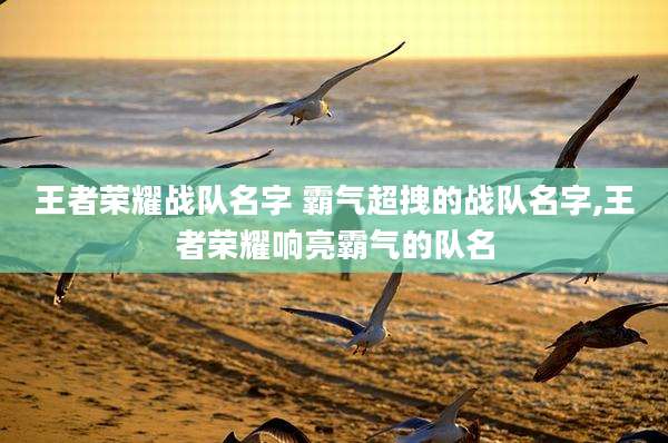 王者荣耀战队名字 霸气超拽的战队名字,王者荣耀响亮霸气的队名