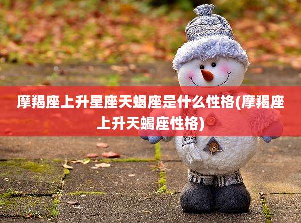 摩羯座上升星座天蝎座是什么性格(摩羯座上升天蝎座性格)