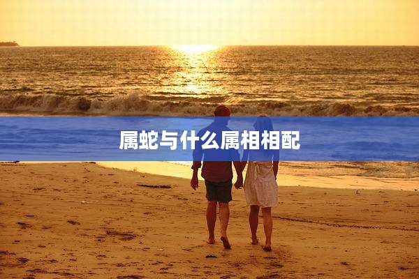 属蛇与什么属相相配