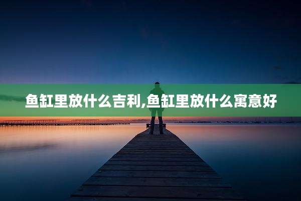 鱼缸里放什么吉利,鱼缸里放什么寓意好