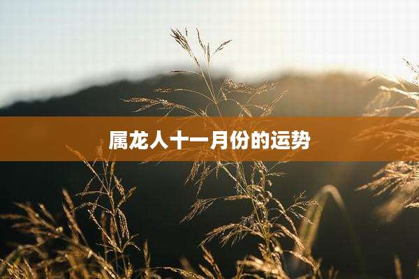 属龙人十一月份的运势