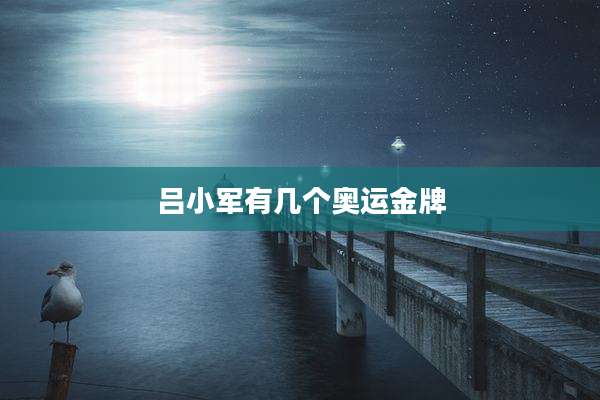 吕小军有几个奥运金牌