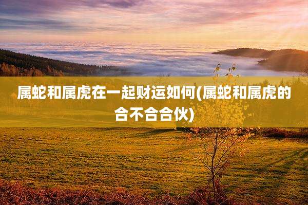 属蛇和属虎在一起财运如何(属蛇和属虎的合不合合伙)