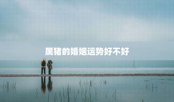 属猪的婚姻运势好不好