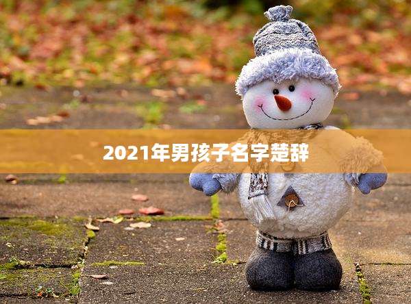 2021年男孩子名字楚辞