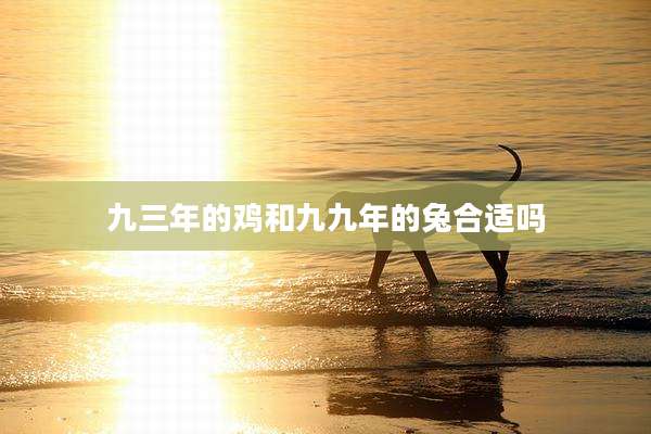 九三年的鸡和九九年的兔合适吗