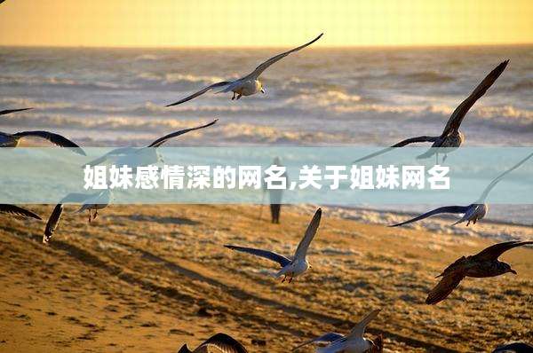 姐妹感情深的网名,关于姐妹网名