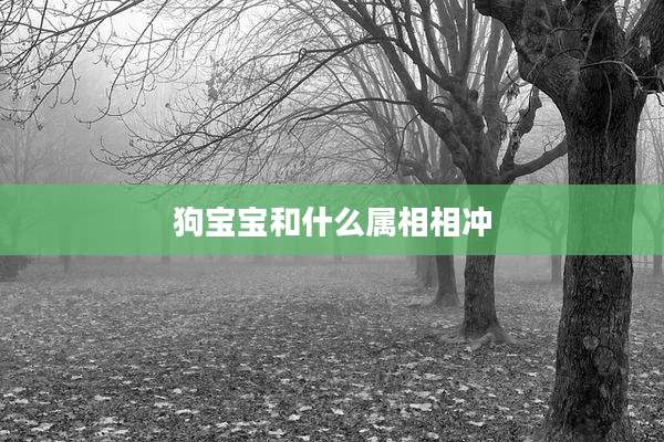 狗宝宝和什么属相相冲
