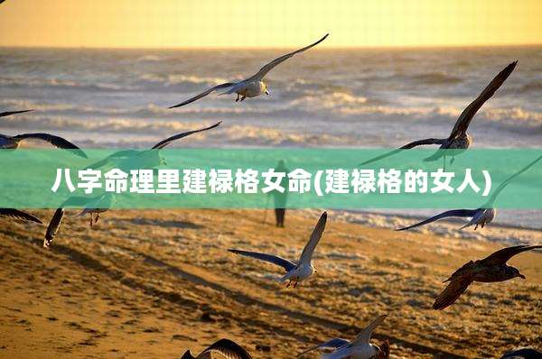 八字命理里建禄格女命(建禄格的女人)