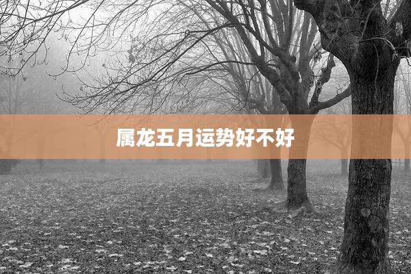 属龙五月运势好不好