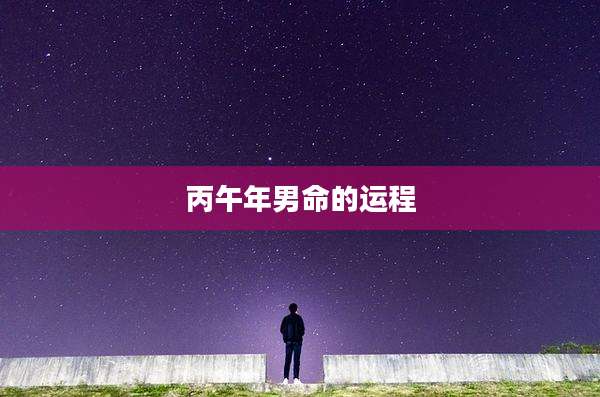 丙午年男命的运程