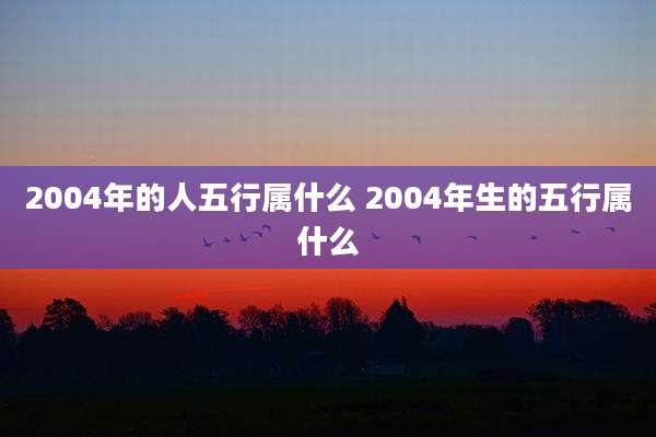 2004年的人五行属什么 2004年生的五行属什么