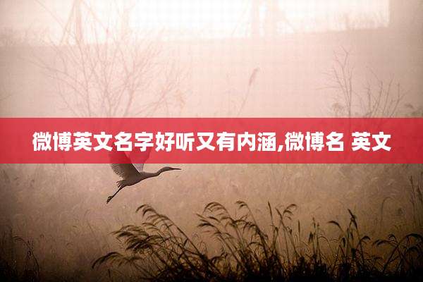 微博英文名字好听又有内涵,微博名 英文