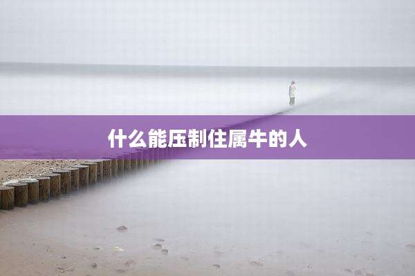 什么能压制住属牛的人