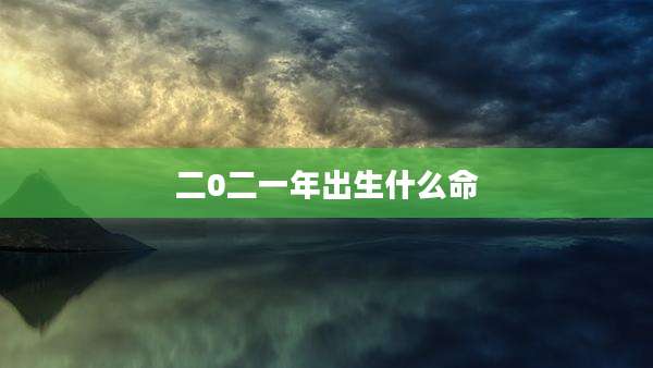 二0二一年出生什么命