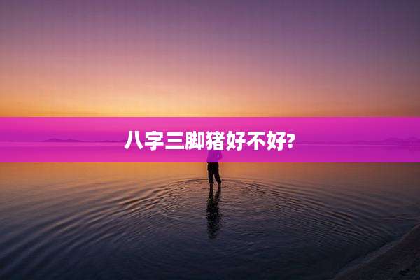 八字三脚猪好不好?