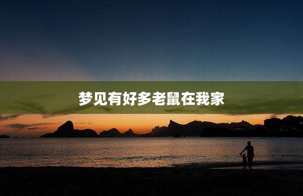 梦见有好多老鼠在我家