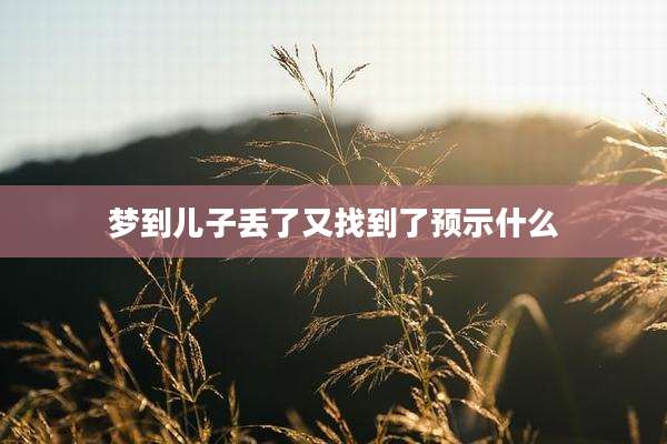 梦到儿子丢了又找到了预示什么