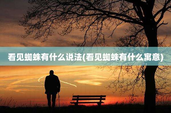 看见蜘蛛有什么说法(看见蜘蛛有什么寓意)