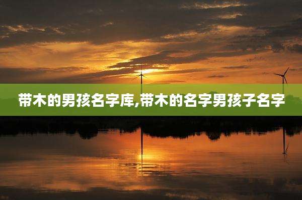 带木的男孩名字库,带木的名字男孩子名字