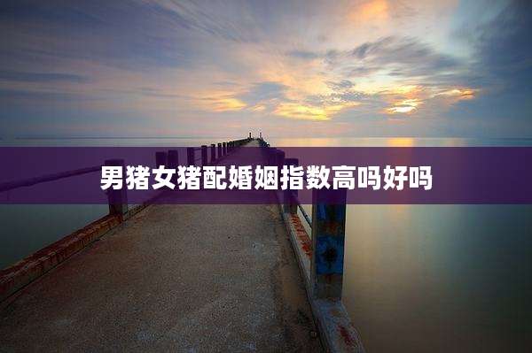 男猪女猪配婚姻指数高吗好吗