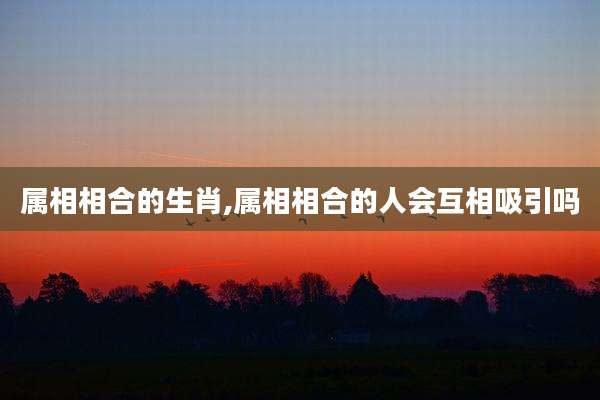 属相相合的生肖,属相相合的人会互相吸引吗