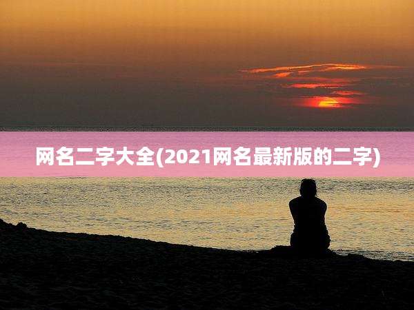 网名二字大全(2021网名最新版的二字)
