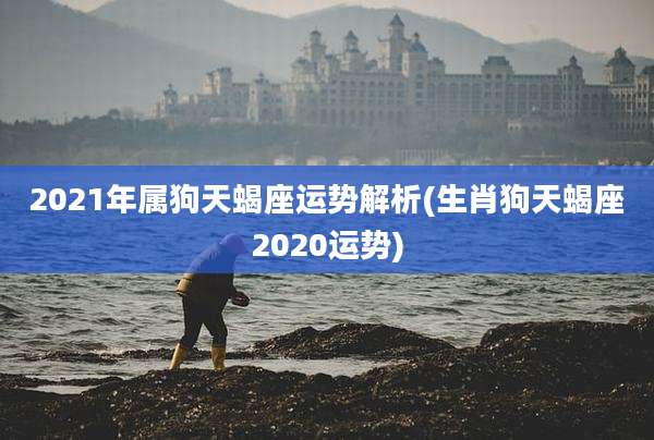 2021年属狗天蝎座运势解析(生肖狗天蝎座2020运势)