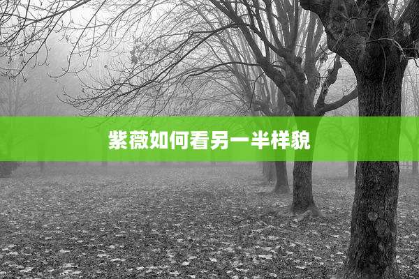 紫薇如何看另一半样貌