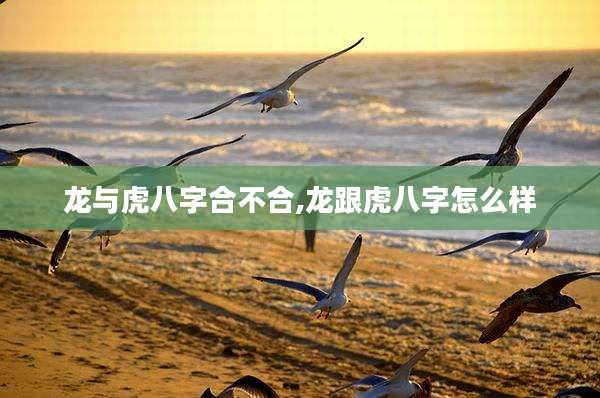 龙与虎八字合不合,龙跟虎八字怎么样