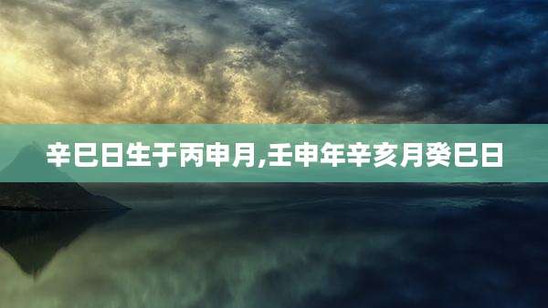 辛巳日生于丙申月,壬申年辛亥月癸巳日