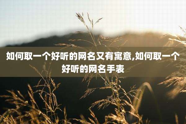如何取一个好听的网名又有寓意,如何取一个好听的网名手表