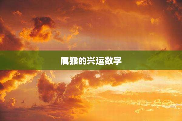 属猴的兴运数字
