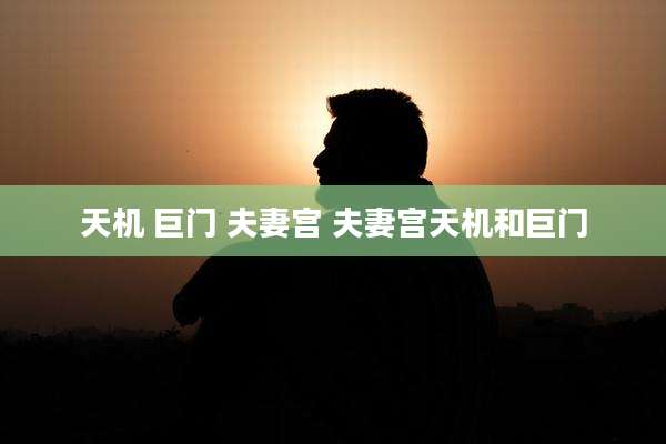 天机 巨门 夫妻宫 夫妻宫天机和巨门