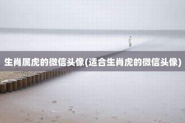 生肖属虎的微信头像(适合生肖虎的微信头像)