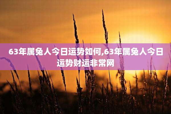 63年属兔人今日运势如何,63年属兔人今日运势财运非常网
