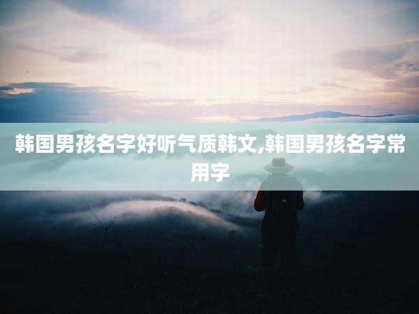 韩国男孩名字好听气质韩文,韩国男孩名字常用字
