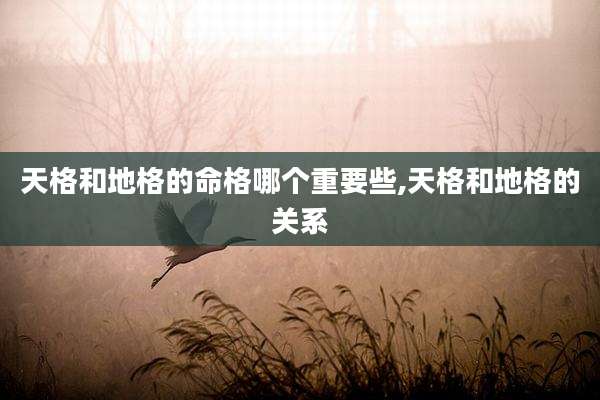 天格和地格的命格哪个重要些,天格和地格的关系