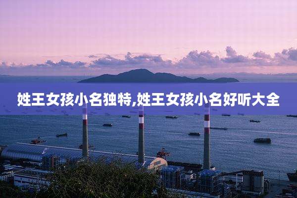 姓王女孩小名独特,姓王女孩小名好听大全