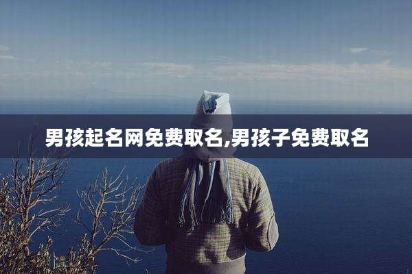 男孩起名网免费取名,男孩子免费取名