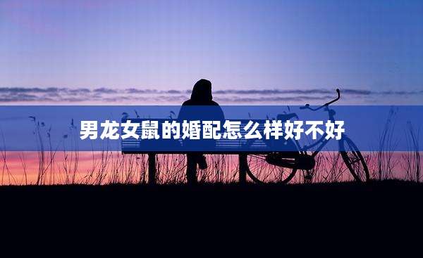 男龙女鼠的婚配怎么样好不好
