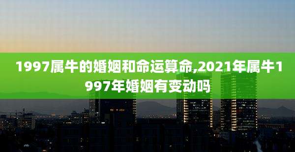 1997属牛的婚姻和命运算命,2021年属牛1997年婚姻有变动吗