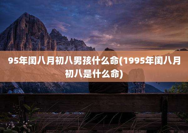 95年闰八月初八男孩什么命(1995年闰八月初八是什么命)
