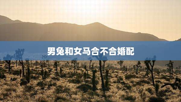 男兔和女马合不合婚配